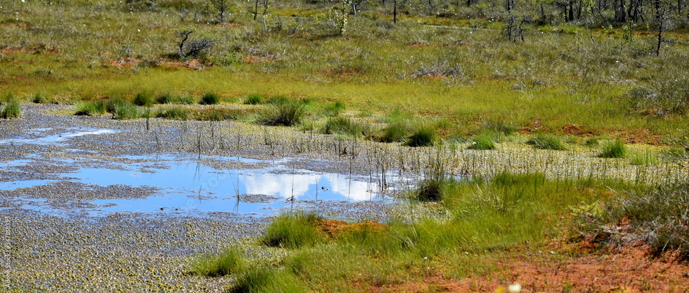 The Great Kemeri Bog Boardwalk is a popular tourist destination in Kemeri National Park. The Great Kemeri Bog Boardwalk is a popular tourist destination in Kemeri National Park.