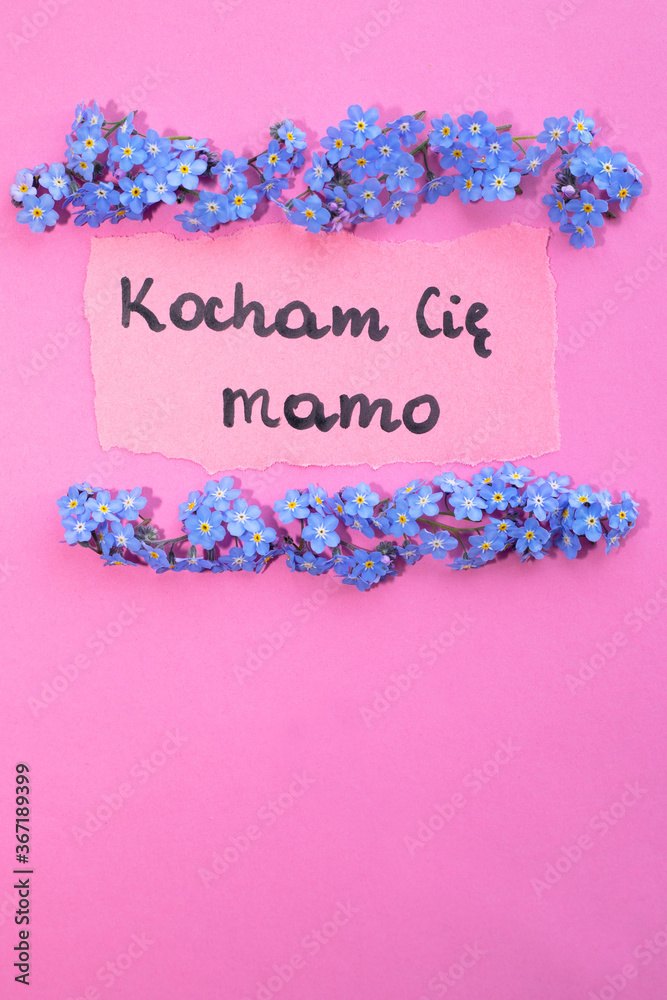 Fototapeta premium Text I love you mom in Polish. 