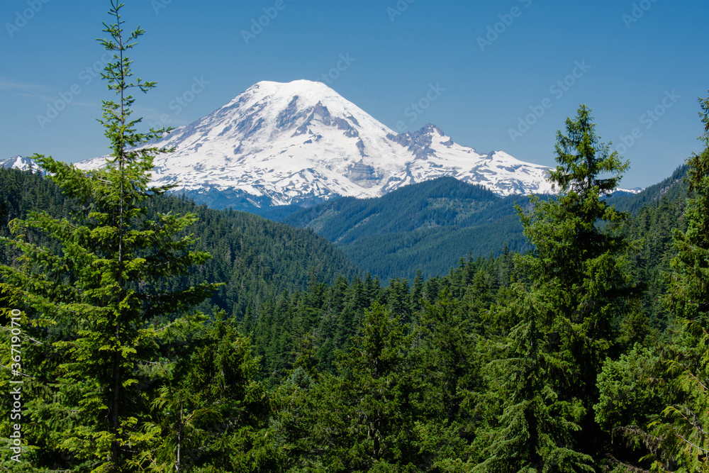 Mount Rainier in Summer