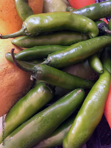 green chile readu for salsa photo