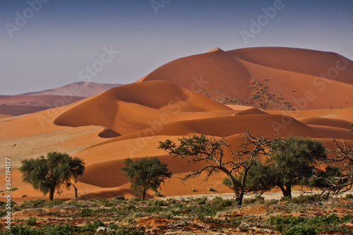 Sand dunes at Sossusvlei, Namib-Naukluft Park, Namibia