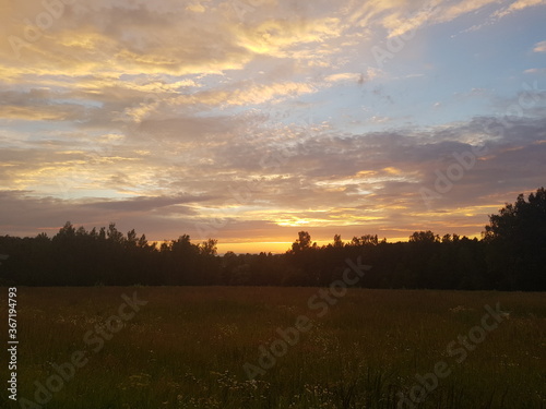 sunset over the field