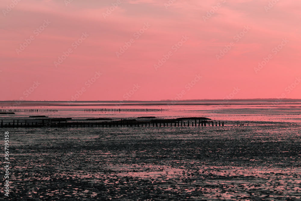 Fototapeta premium Buhnen und auflaufende Flut im Wattenmeer an der Nordseeküste bei Harlesiel in Niedersachsen in der Abenddämmerung - Stockfoto