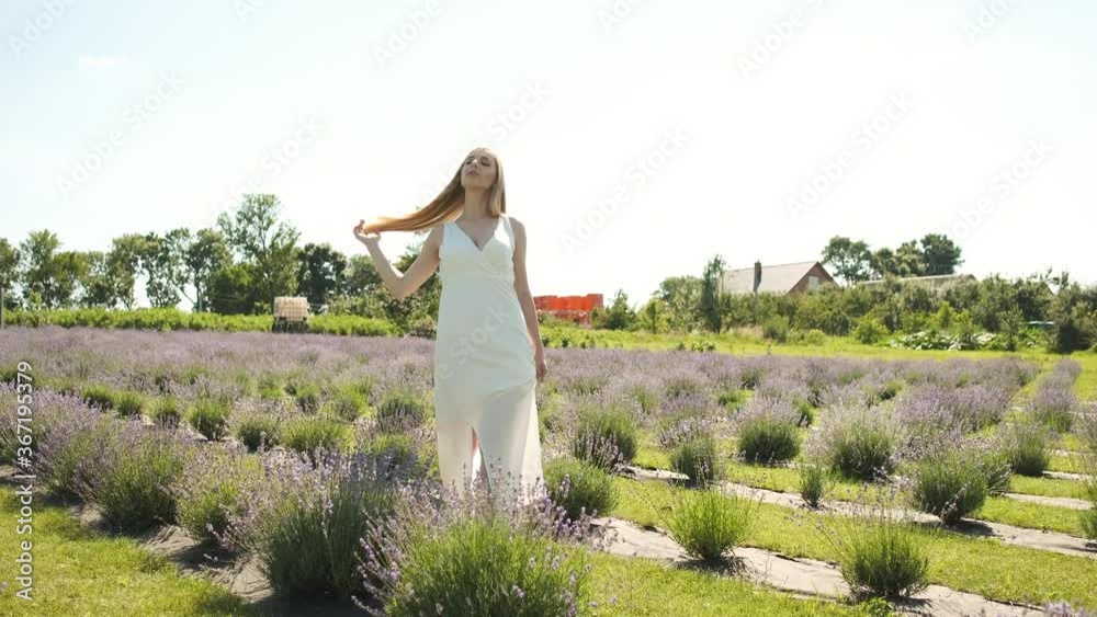 Caucasian 25 year old beautiful blonde in a long white dress walks on a lavender field in a summer sunny evening. Lots of purple flowers Caucasian 25 year old beautiful blonde in a long white dress walks on a lavender field in a summer sunny evening. Lots of purple flowers