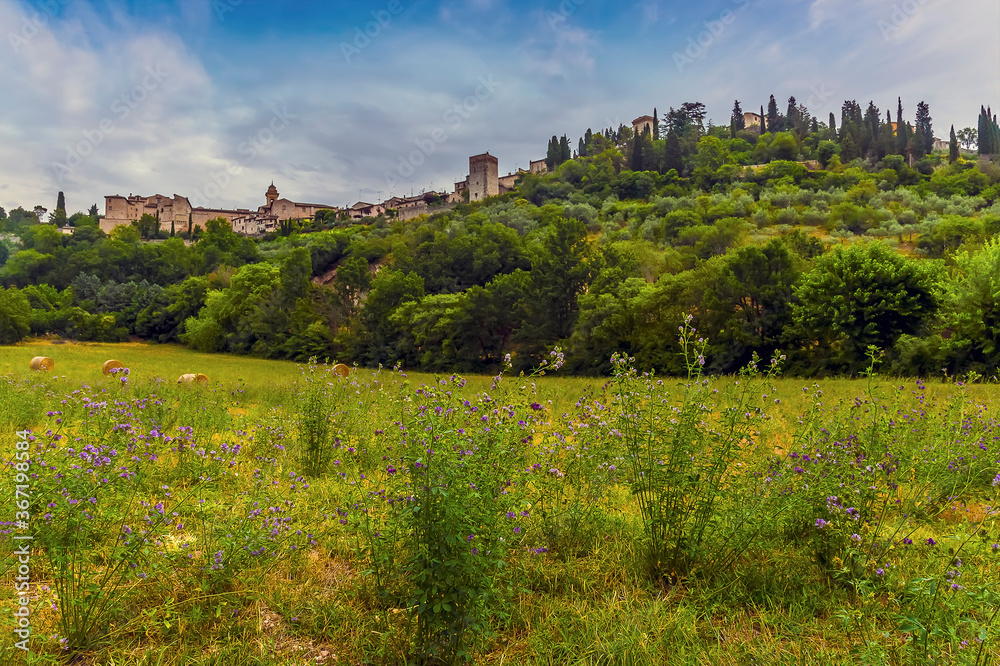 A view past wildflowers towards the hilltop village of Spello, Umbria in the summertime