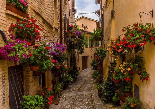 Vibrant flowers adorn a narrow alleyway in the hilltop village of Spello  Umbria in the summertime