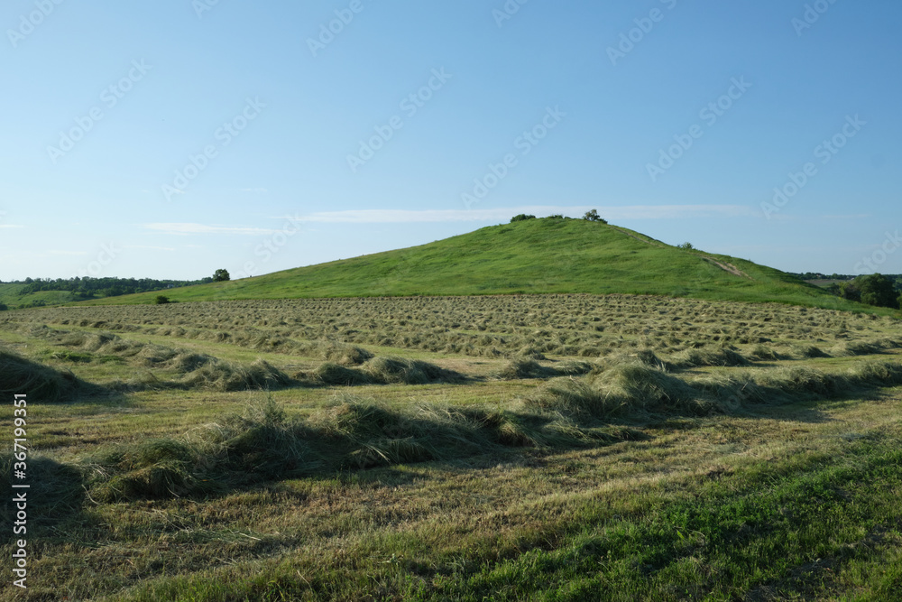 field with mowed grass against the background of a hill field with mowed grass against the background of a hill