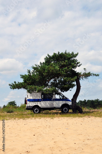 A police van under a lonely pine tree.