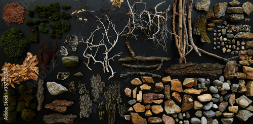 California Sierra Nevada Mountain Forest Floral Overhead Knowling  Still Life with Moss, Branches, Stick, Rocks, Soil, Bark, Leaves Leaf Litter