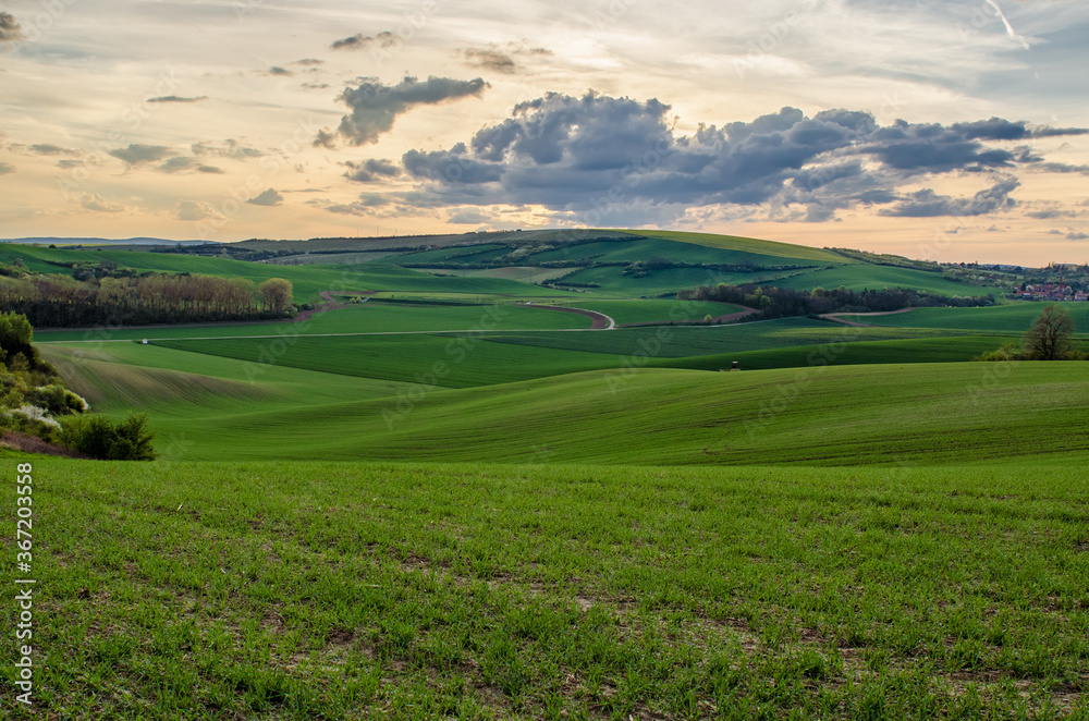 Rural spring landscape