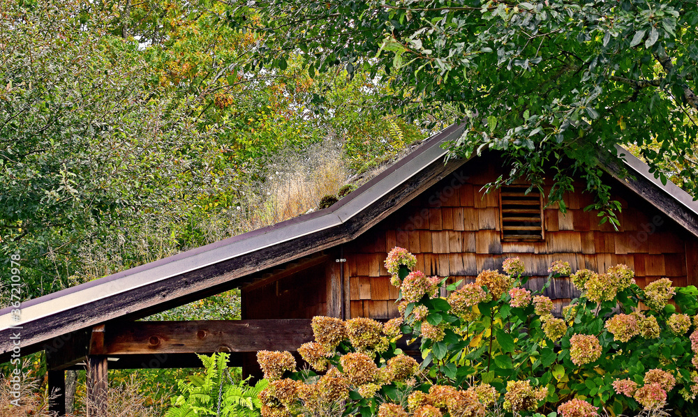 Old Cabin in Autumn Mountain Woods Old Cabin in Autumn Mountain Woods