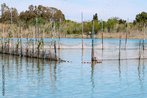 Albufera Valencia, Spain, March 23, 2017. Albufera Natural Park in Valencia.