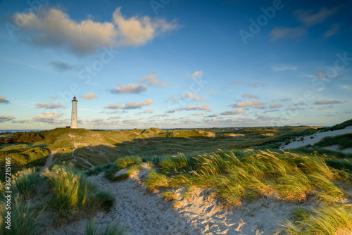 Fototapeta Naklejka Na Ścianę i Meble -  Panoramic view of Lyngvig lighthouse on wide dune of Holmsland Klit on the west coast of Jutland, by Hvide Sande, Denmark