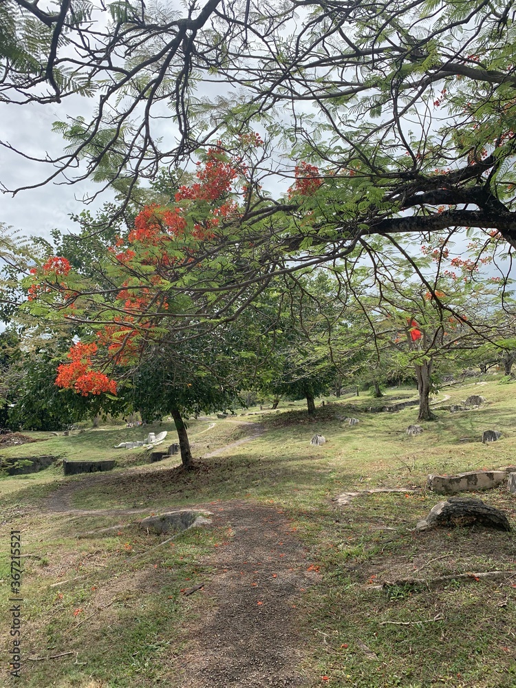 Naklejka premium Cimetière Bukit Cina à Malacca, Malaisie