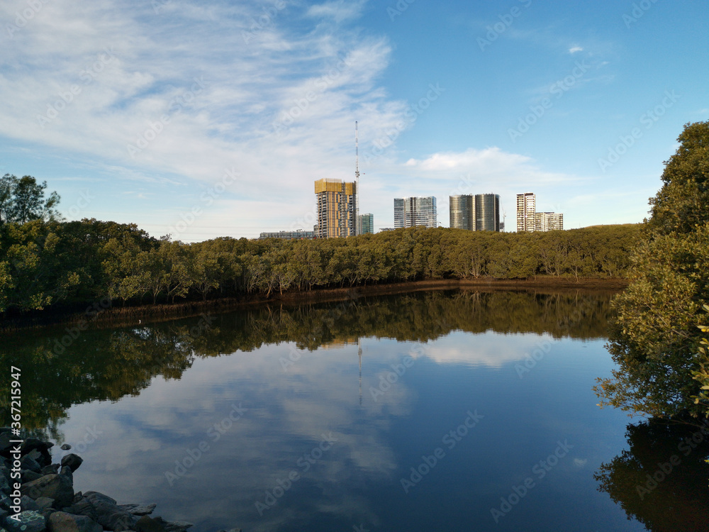 Beautiful view of a pond in a nature reserve with reflections of blue sky, light clouds  tall buildings and trees on water, Newington Nature Reserve, Newington, Sydney, New South Wales ,Australia