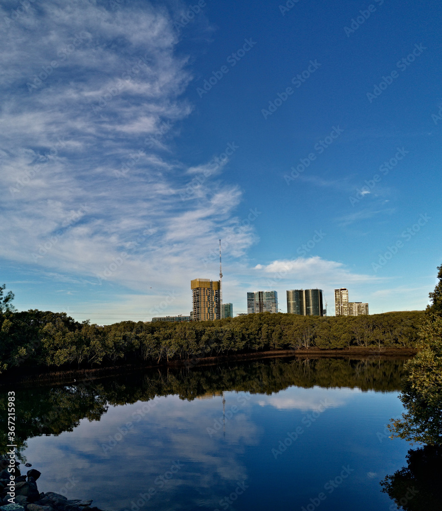 Beautiful view of a pond in a nature reserve with reflections of blue sky, light clouds tall buildings and trees on water, Newington Nature Reserve, Newington, Sydney, New South Wales ,Australia