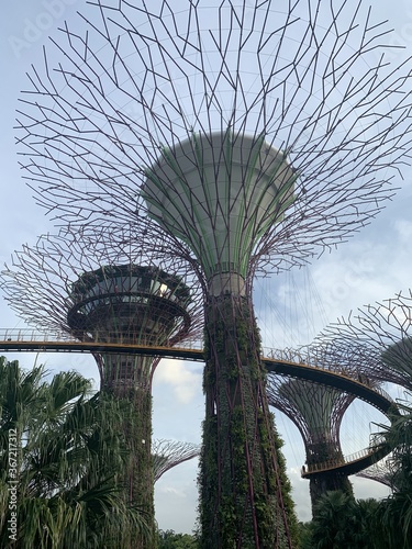 Arbres artificiels et passerelle, jardins de la Baie à Singapour  © Atlantis