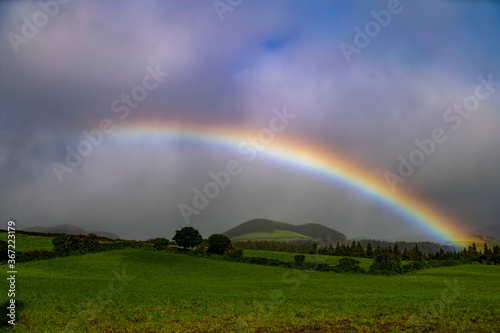 A rainbow over the green field  Sao Miguel  Azores