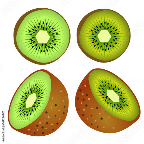 kiwi vector