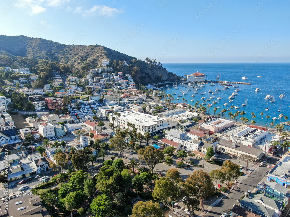 Aerial view of Avalon downtown and bay with boats in Santa Catalina Island, famous tourist attraction in Southern California, USA