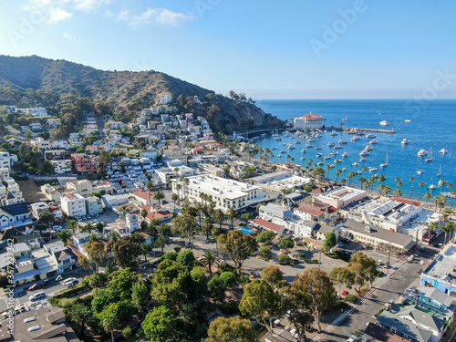 Aerial view of Avalon downtown and bay with boats in Santa Catalina Island, famous tourist attraction in Southern California, USA © Unwind