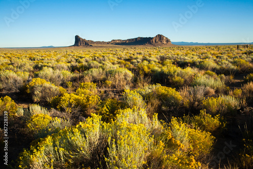 Fort Rock in Fort Rock State Park, located near Silver Lake, Oregon.  Rabbit brush (Ericameria nauseosa) is in bloom. photo