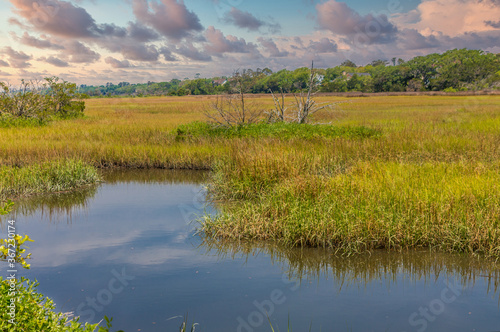 A river running through a salt water wetland marsh at high tide