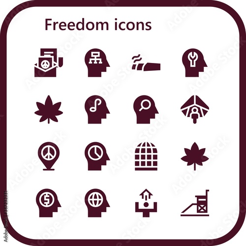 freedom icon set