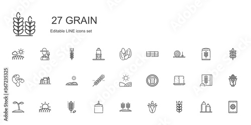 grain icons set