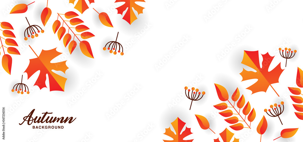 Beautiful autumn design background template illustration vector Beautiful autumn design background template illustration vector