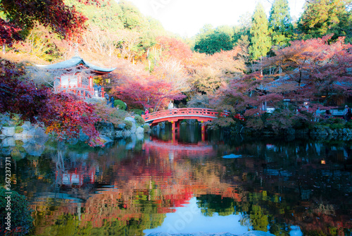 京都の寺の紅葉