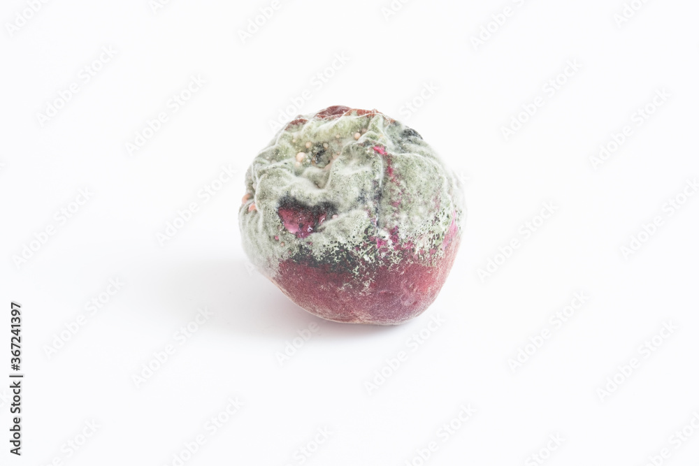 Damage to the peach by mold spores, Damage to the peach by mold spores,