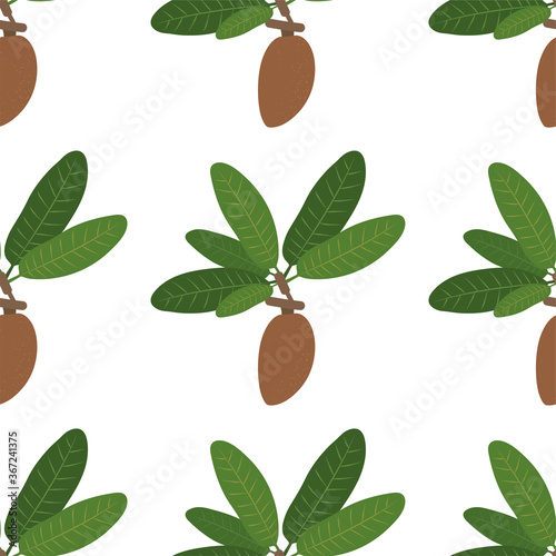 Mamey Fruit. Seamless Vector Patterns 