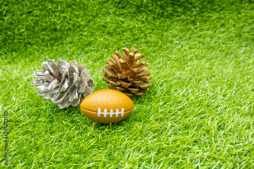 American football for Soccer on Christmas Holiday on green grass