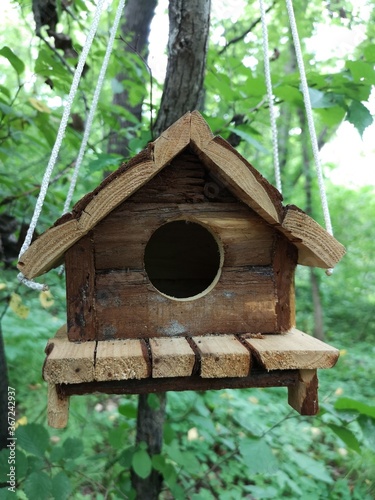 Bird feeder house on a branch