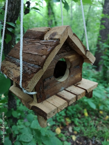 Bird feeder house on a branch