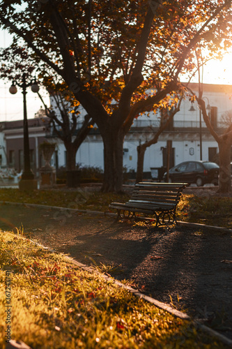 bench in autumn park