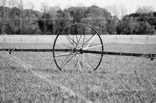 Hallock Preserve photo