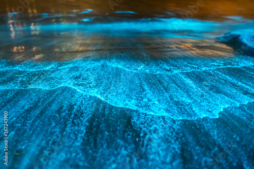 Bioluminescence, Jervis Bay, Australia photo