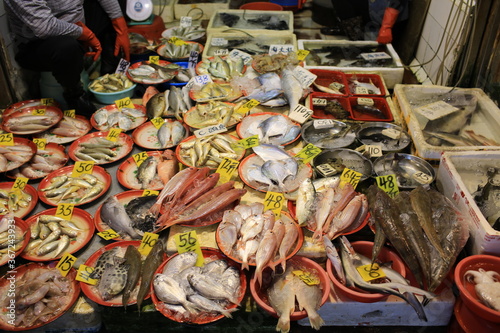 Photography wet market in hong kong