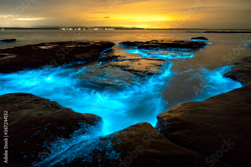 Bioluminescence, Jervis Bay, Australia © Gary