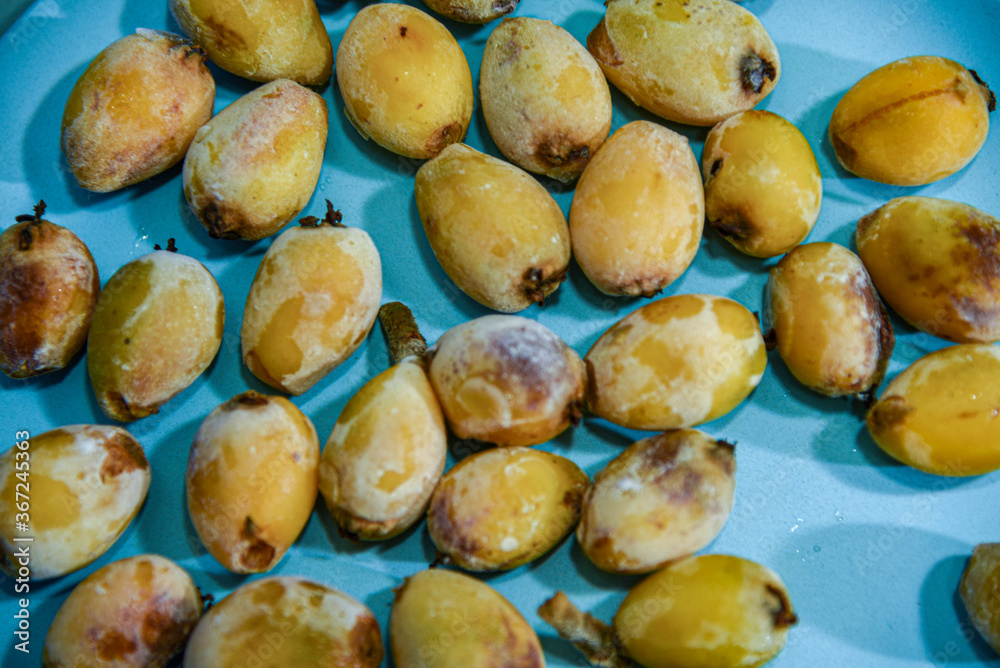 Frozen medlar fruits (Eriobotrya japonica) on light blue background Frozen medlar fruits (Eriobotrya japonica) on light blue background