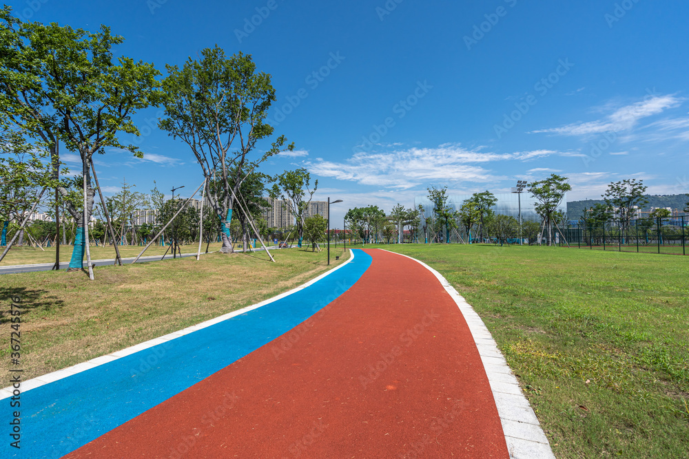 Obraz premium road in park