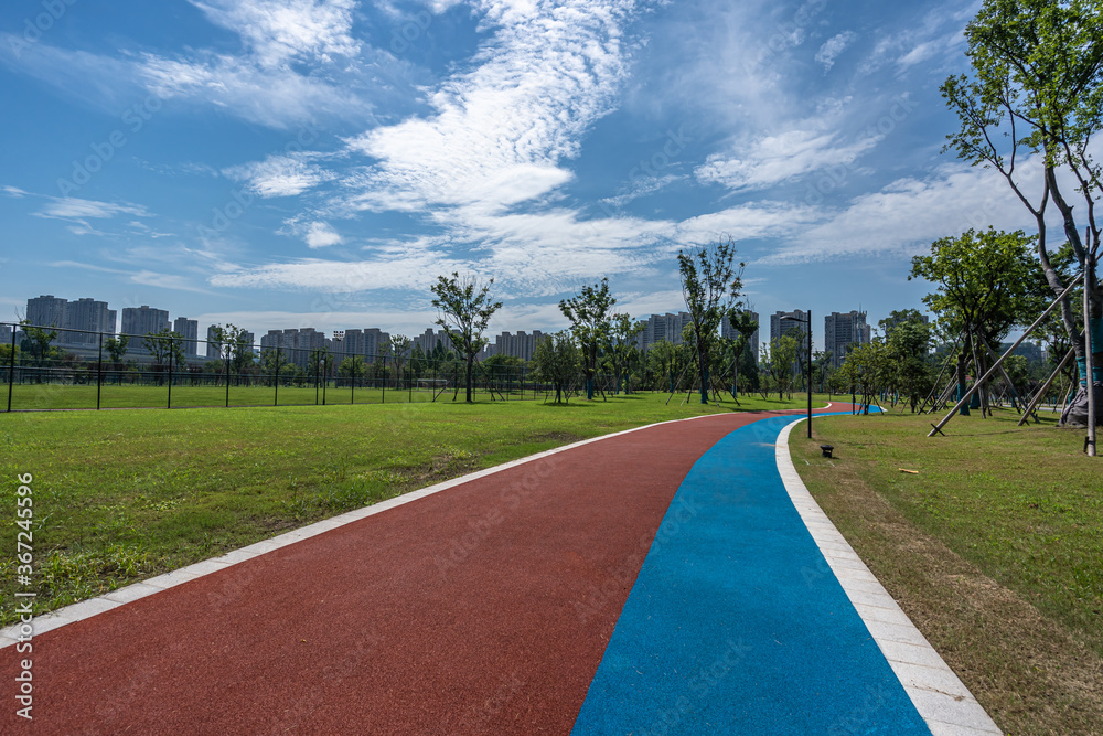 Obraz premium road in park