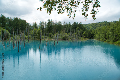 青い池