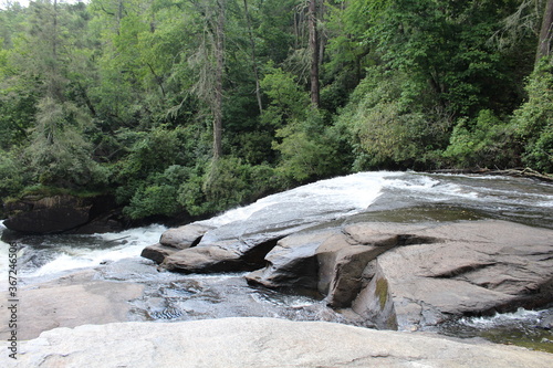 mountain river in the forest