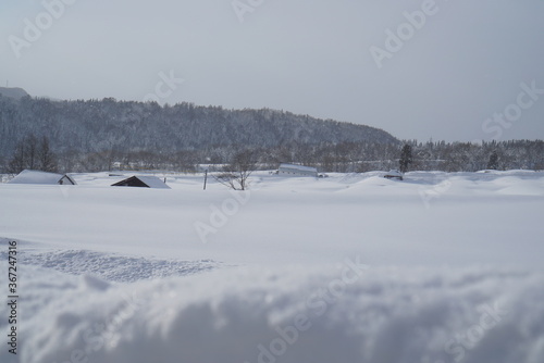 winter landscape with snow © Hirotsugu