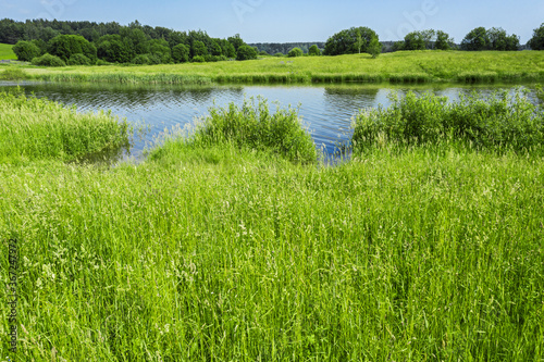 green meadows on lakeside. countryside landscape on a sunny summer day