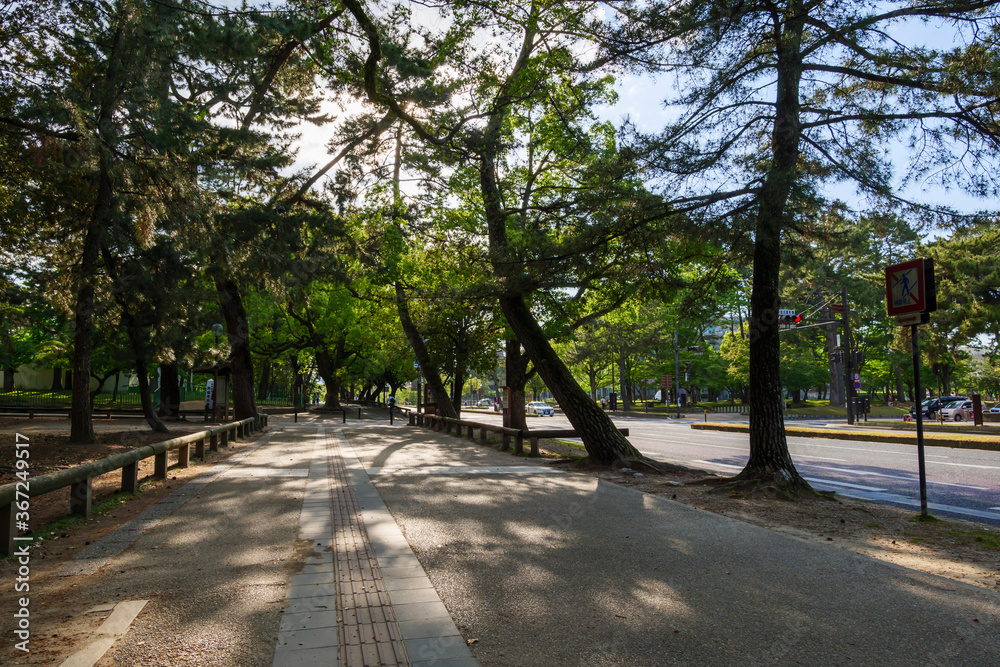 On May 13, 2020, at dusk, the number of tourists on the Nara Park Road was significantly reduced due to the declaration of a state of emergency by COVID-19. On May 13, 2020, at dusk, the number of tourists on the Nara Park Road was significantly reduced due to the declaration of a state of emergency by COVID-19.