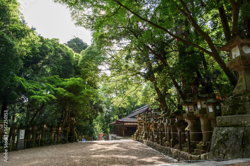 The approach to Kasuga Taisha's shrine, which has seen a significant decrease in tourists due to the declaration of a state of emergency following COVID-19 in Nara, Japan on May 13, 2020.